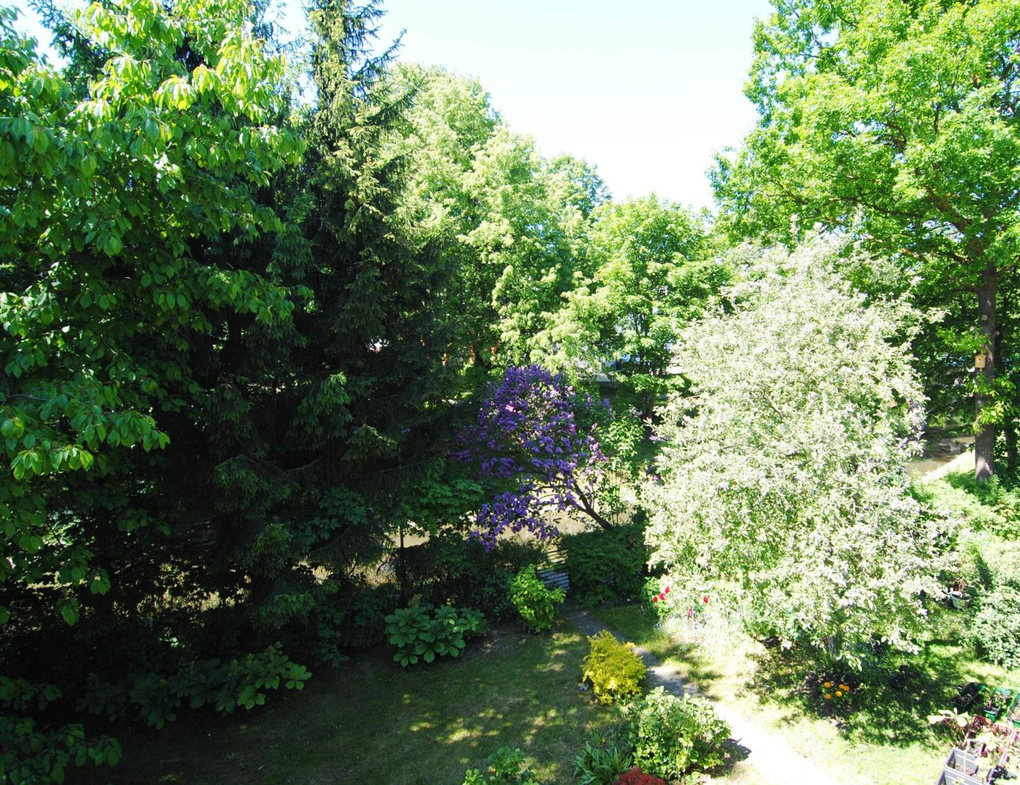 Vila Pri Rouzes Паланга Номер фото